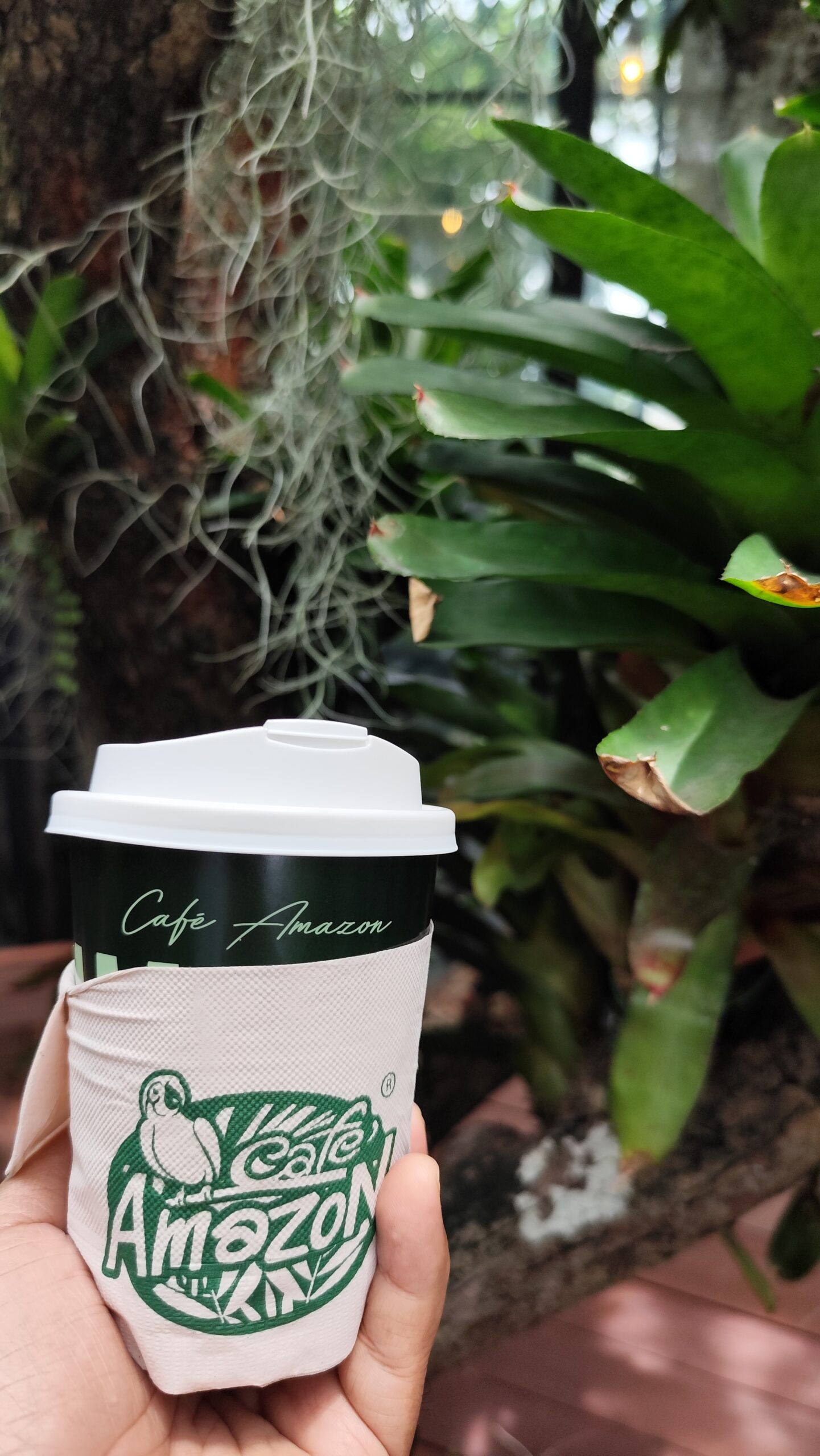 Coffe for energizing